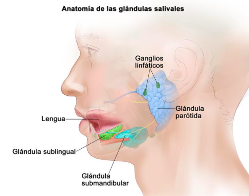 alt+Sialolithiasis